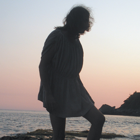 Παντελής Ε. Δημητριάδης