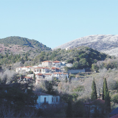 Ανδρίτσαινα