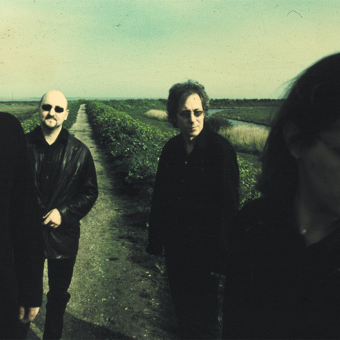 Porcupine tree