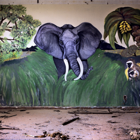 Θωμάς Γερασόπουλος