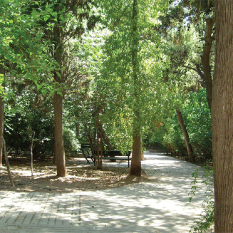 Συμβαίνει στο Παγκράτι