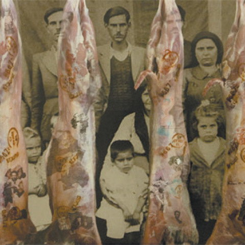 Παναγιώτα Μονογιού