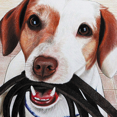 Έργο της Αγγελικής Σταυριάνου