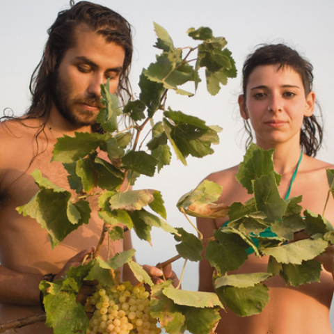 Παναγιώτης Μηνάς