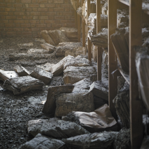 Γιάννης Μπουρνιάς, από τη σειρά Stream 2011, φωτογραφία 80χ120 εκ.