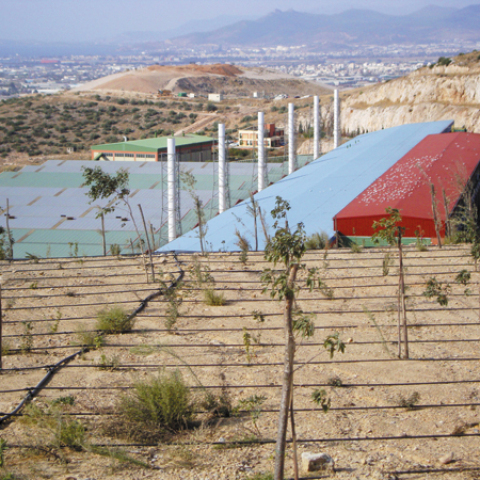 Η Β Φάση στη Φυλή που αποκαταστάθηκε από την ΗΛΕΚΤΩΡ