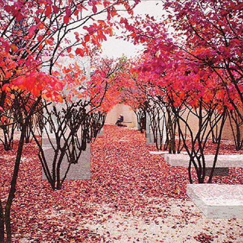 Η πρόταση της Ανδρονίκης Γιαννάτου είναι η πρώτη που θα υλοποιηθεί