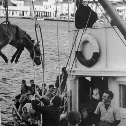 Κεντρική φωτό: Ανδρέας Εμπειρίκος, "Άνδρος-Υδρούσα, Χαίρε!", 2008