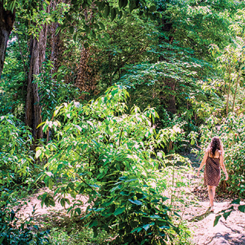 Φωτό: Ορέστης Σεφέρογλου