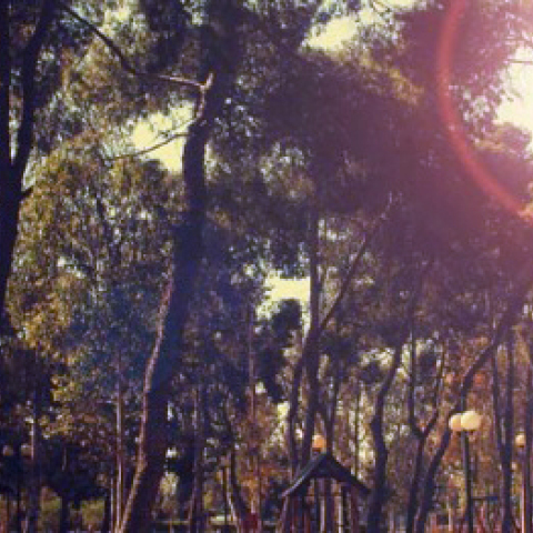 Νέα Φιλαδέλφεια. Ένα από τα ομορφότερα Αθηναϊκά προάστια.