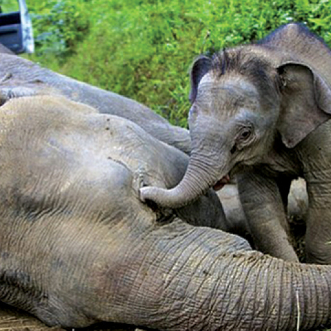 Αναδημοσίευση από το τελευταίο τεύχος του περιοδικού του Γιώργου Χρονά «Οδός Πανός».