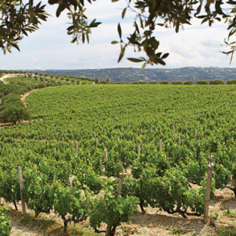 Ελληνικές επιχειρήσεις ποντάρουν στην καινοτομία και την εξωστρέφεια