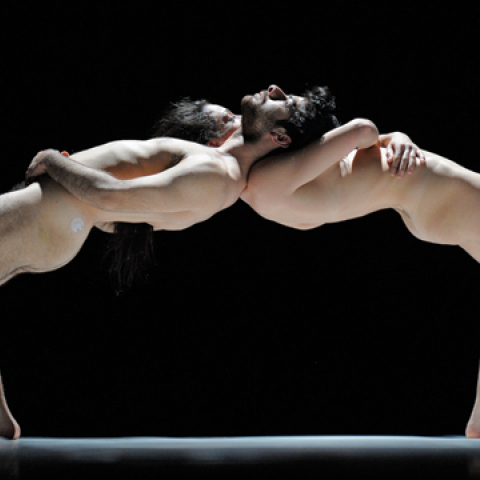 ​"pelma.lia haraki / Τhe Shape of Necessity & Tune In" © PAVLOS VRIONIDES