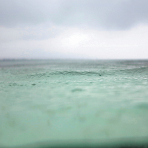 «Sea Through», Μαρίνα Βερνίκου