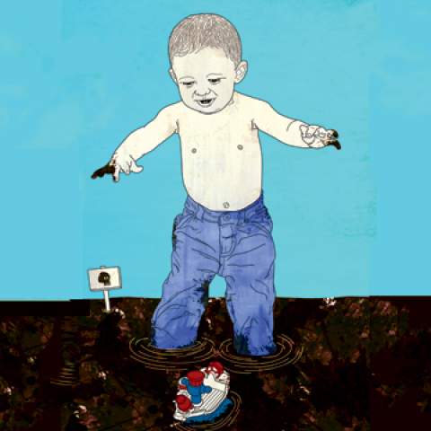 Πράσινος Εθελοντής