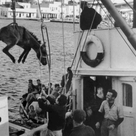 Φωτό: Ανδρέας Εμπειρίκος