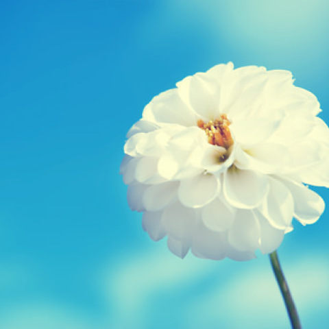 Ποιοι γιορτάζουν σήμερα 29 Μαρτίου; Το εορτολόγιο της Athens Voice σου τους θυμίζει. Μην ξεχάσεις να τους δώσεις τις καλύτερες ευχές σου!