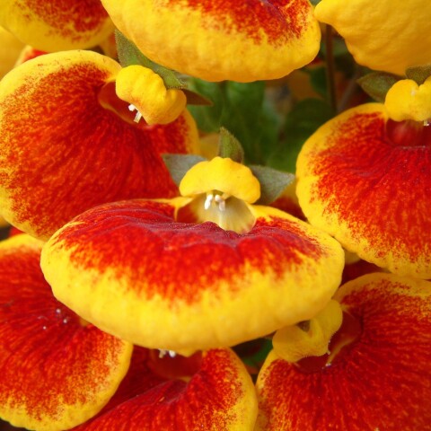 Ποιοι γιορτάζουν σήμερα 30 Απριλίου;