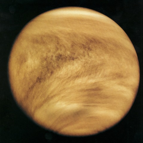 venus21.jpg