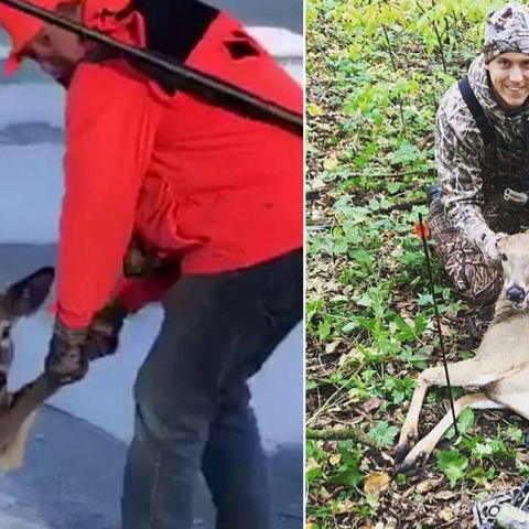 ελάφι, κυνηγός