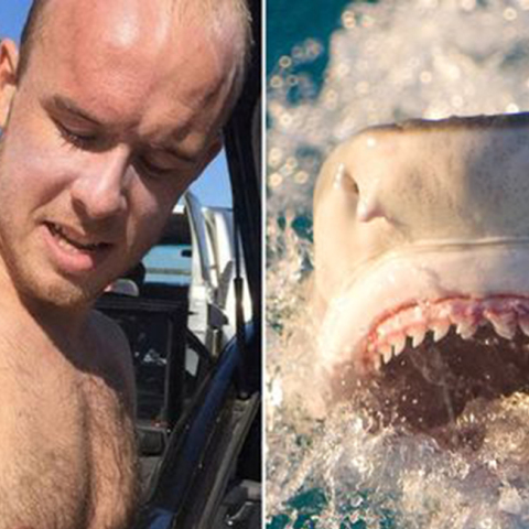 Τσάρλι Φράι