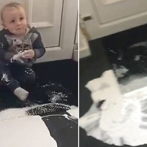 χαλί, μπογιά