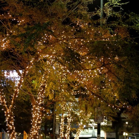 Χριστουγεννιάτικος στολισμός στο Δήμο Γλυφάδας