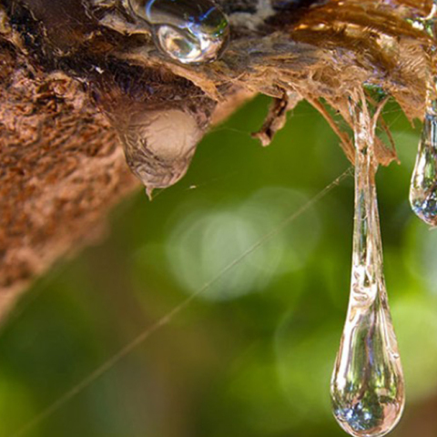 «Φεύγουν» τα Mastic Spa από τη Χίο 