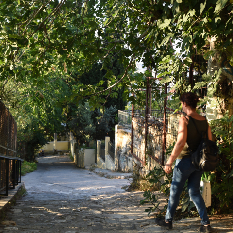 Έρευνα: Οι γειτονιές με πολλά δέντρα έχουν λιγότερα σοβαρά περιστατικά άσθματος