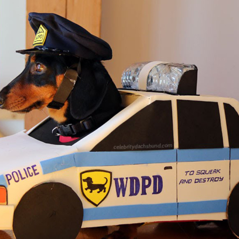 Χρειάζεστε άμεση επέμβαση; 