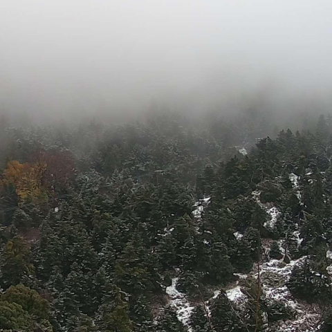 Χιόνι στην Πάρνηθα - οι πρώτες εικόνες από το καταφύγιο Μπάφι