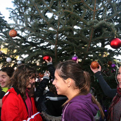 ΣΤΟΛΙΣΜΟΣ ΧΡΙΣΤΟΥΓΕΝΝΙΑΤΙΚΟ ΔΕΝΤΡΟ