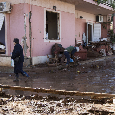 Ταυτοποιήθηκε η σόρος που βρέθηκε σήμερα στην Μάνδρα