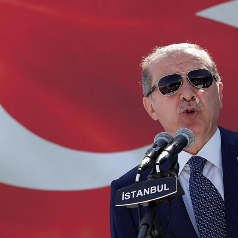 Ερντογάν, Κούρδοι συλληφθέντες