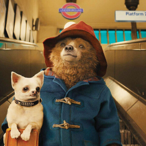 paddington-21.jpg