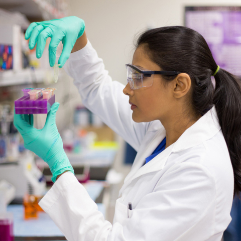 Ελπίδες για ένα νέο φάρμακο κατά της οξείας μυελογενούς λευχαιμίας 