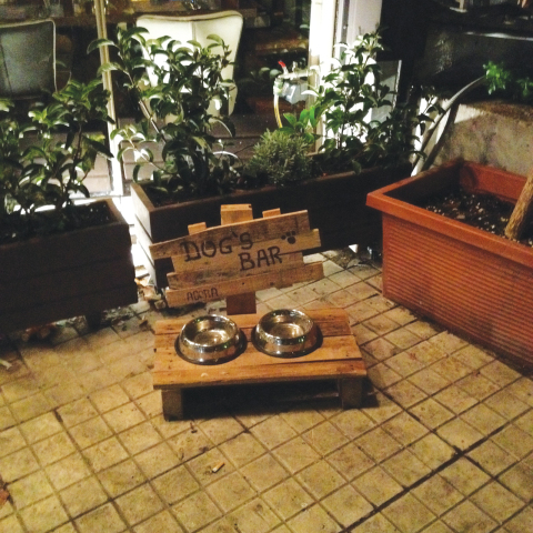 Dog's Bar στην οδό Βουρνάζου, στους Αμπελόκηπους