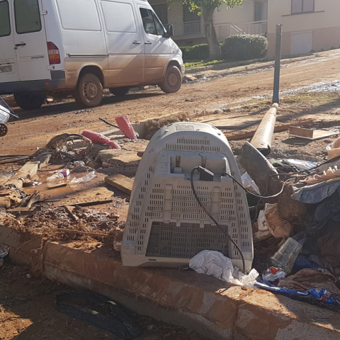 Μάνδρα, θεομηνία