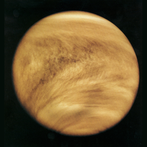 venus21.jpg
