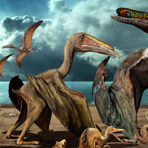 article-pterosaur-reconstrcution-2.adapt_.768.1.jpg