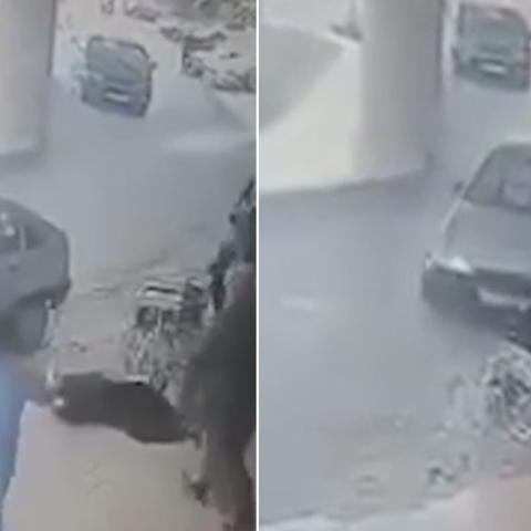 Ιορδανία, αμαξίδιο