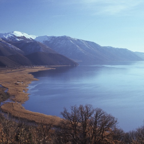 mikriprespa_wwf_andreabonetti.jpg