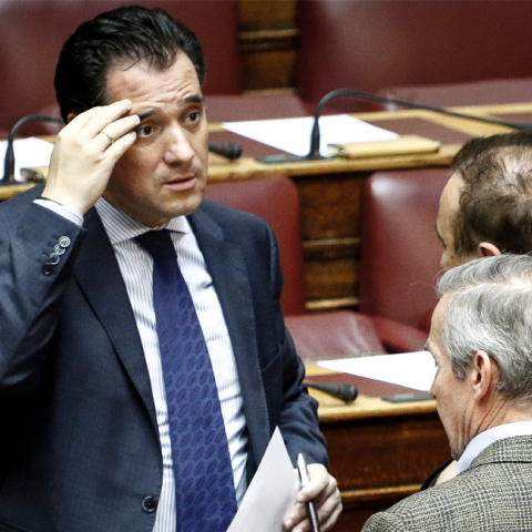 Άδωνις Γεωργιάδης, Πέτρος Κωνσταντινέας