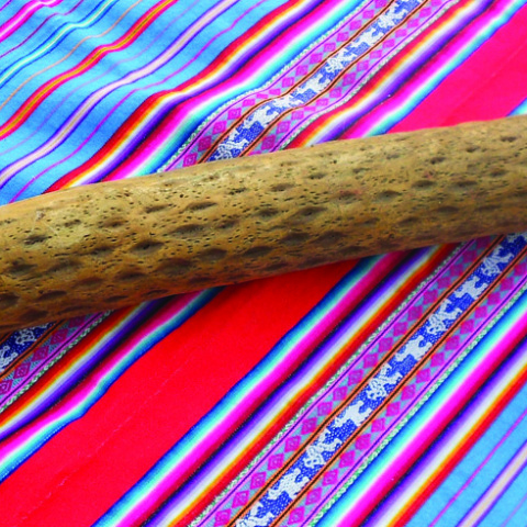 H βροχή του δάσους