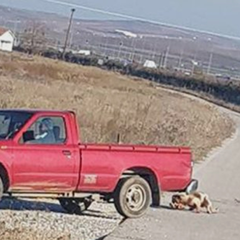 σκύλος, Κιλελέρ