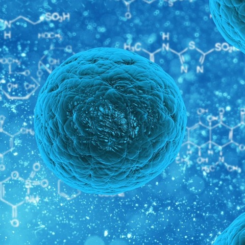 stem-cell-163711_1280.jpg