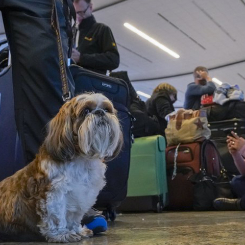 Ατλάντα, αεροδρόμιο