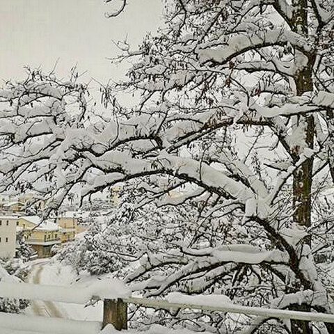 Χιόνια στην περιοχή της Φθιώτιδας 