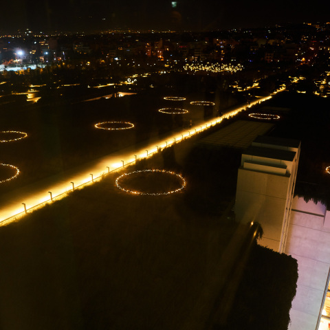  Άρης Καμαρωτός