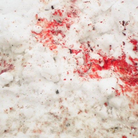 blood-on-the-snow.jpg